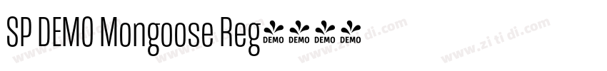 SP DEMO Mongoose Reg字体转换